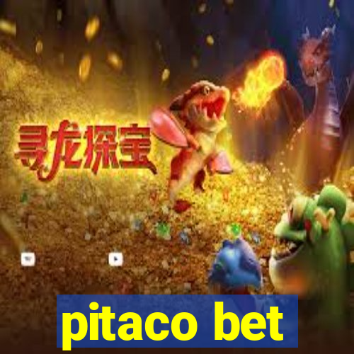 pitaco bet
