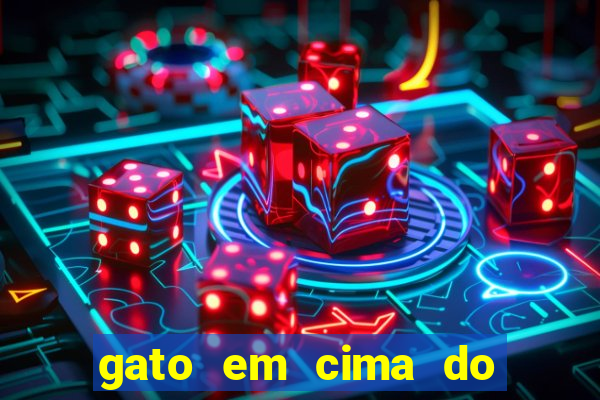 gato em cima do telhado significado espiritual