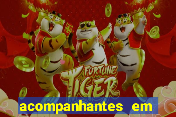 acompanhantes em porto de galinhas