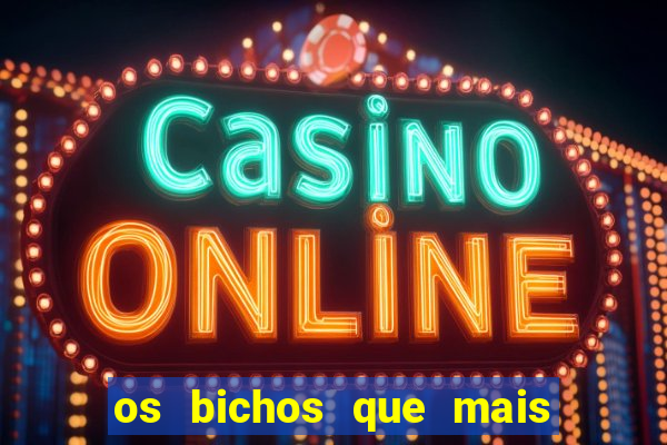 os bichos que mais saem na loteria federal