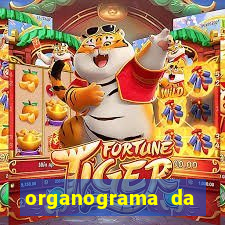 organograma da cacau show