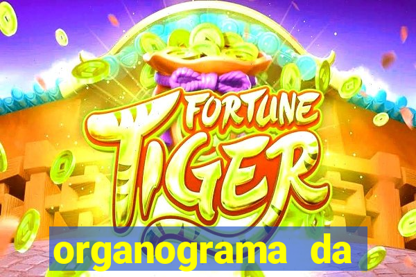 organograma da cacau show