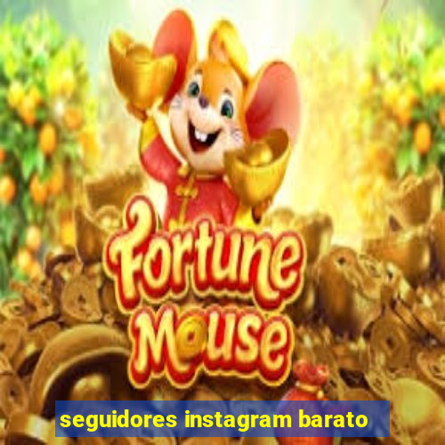 seguidores instagram barato