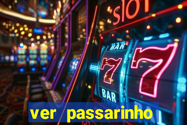 ver passarinho morto significado