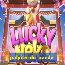 palpite do xande de hoje