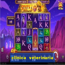 clinica veterinaria cuidar betim