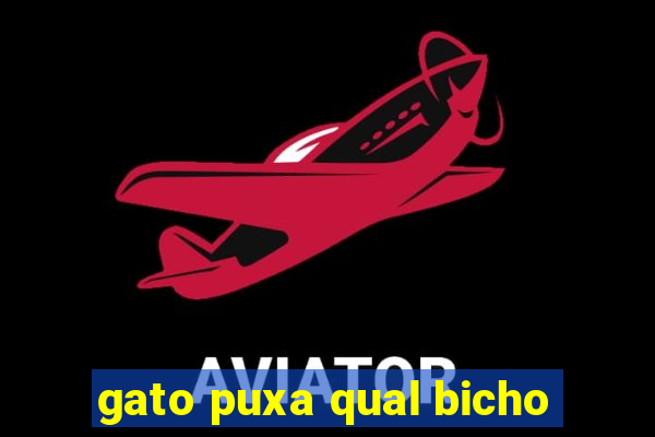 gato puxa qual bicho