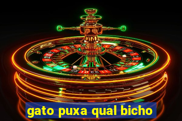 gato puxa qual bicho