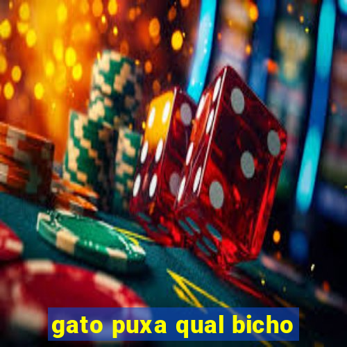 gato puxa qual bicho