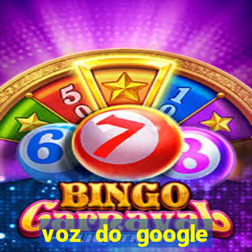 voz do google tradutor homem