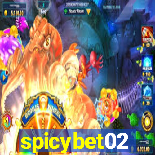spicybet02
