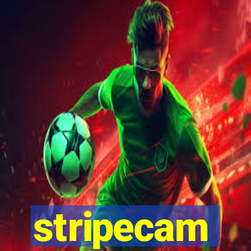stripecam