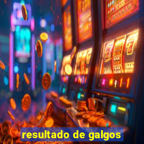 resultado de galgos