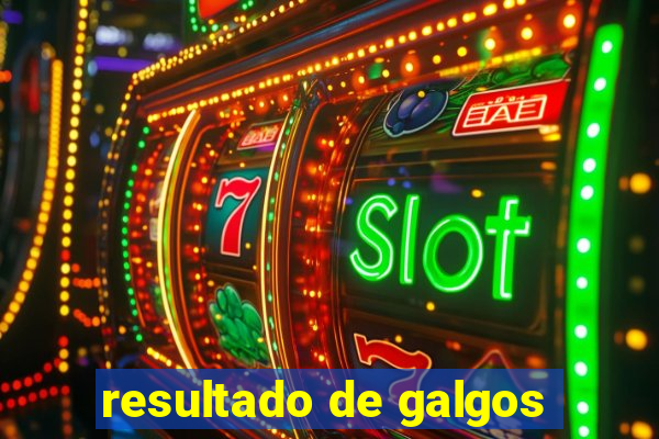 resultado de galgos