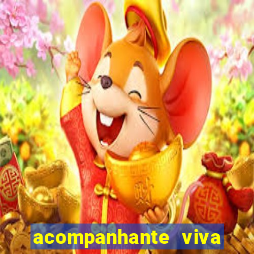 acompanhante viva local baixada fluminense