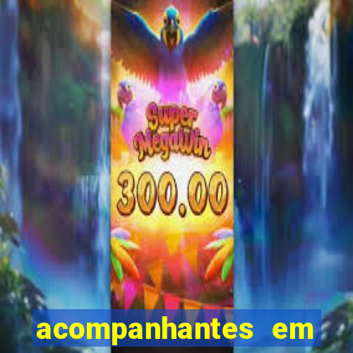 acompanhantes em feira de santana bahia