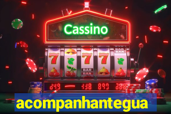 acompanhanteguanambi