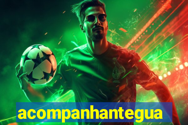 acompanhanteguanambi