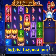 hoteis fazenda em porto velho