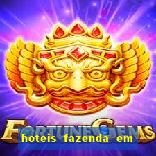 hoteis fazenda em porto velho