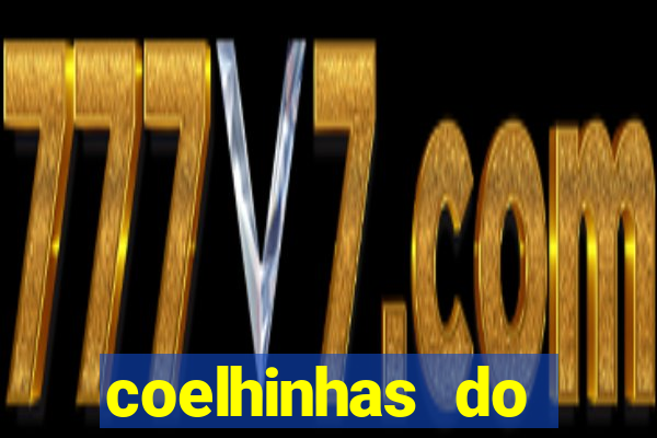 coelhinhas do brasil acompanhantes