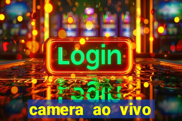 camera ao vivo terminal vila nova cachoeirinha