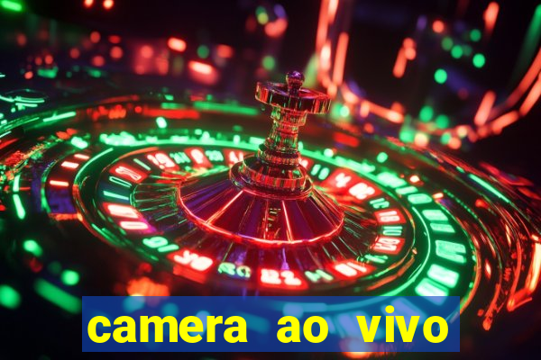 camera ao vivo terminal vila nova cachoeirinha