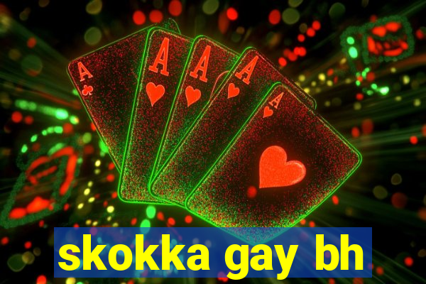 skokka gay bh