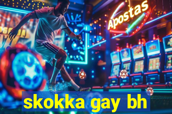 skokka gay bh