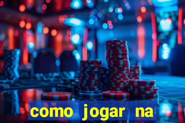 como jogar na lotinha do jogo do bicho