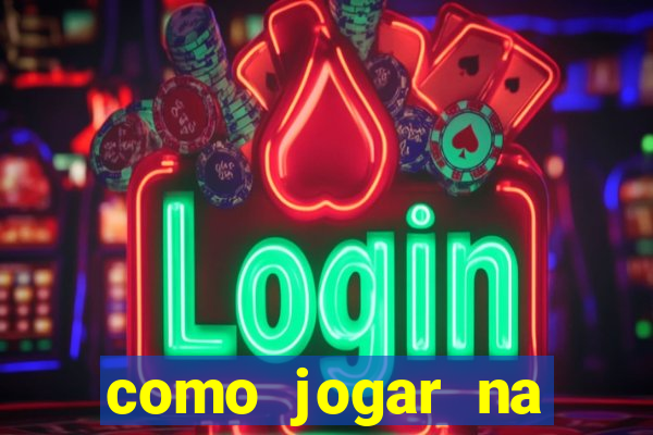 como jogar na lotinha do jogo do bicho
