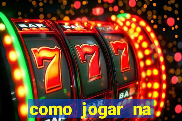 como jogar na lotinha do jogo do bicho