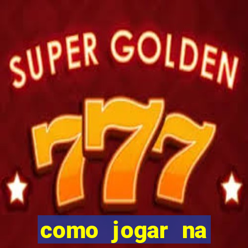 como jogar na lotinha do jogo do bicho