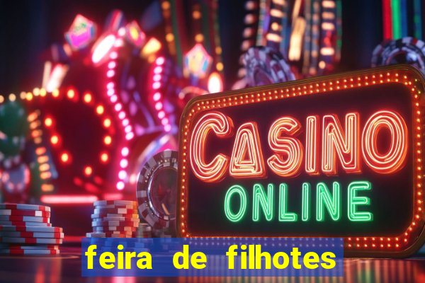 feira de filhotes porto alegre