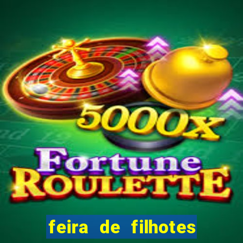 feira de filhotes porto alegre