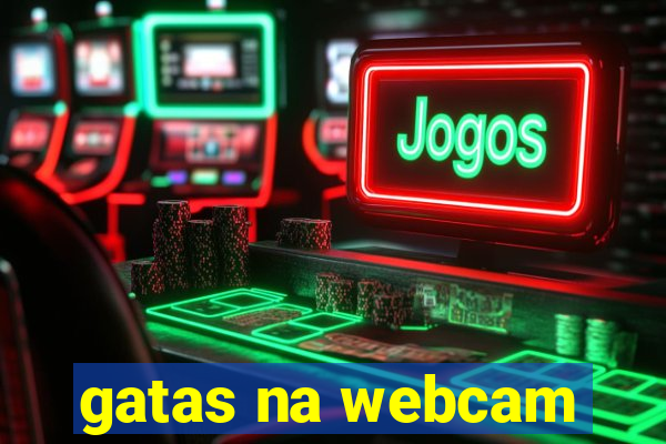 gatas na webcam
