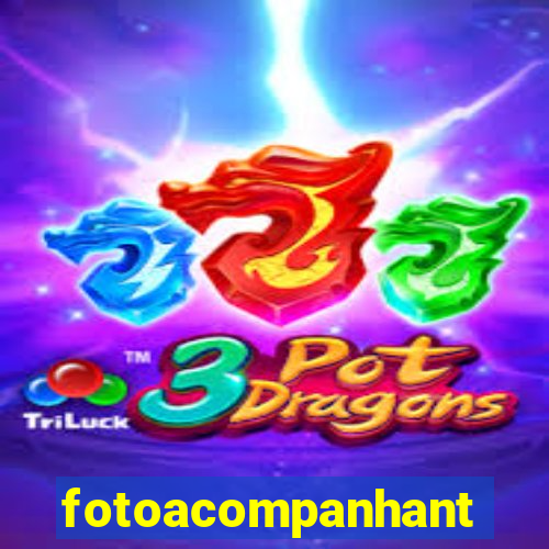 fotoacompanhante.