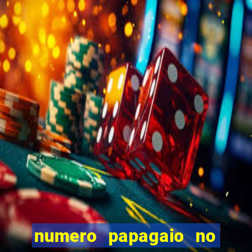numero papagaio no jogo do bicho