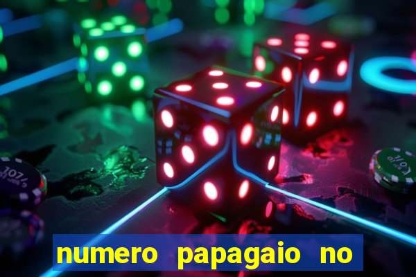 numero papagaio no jogo do bicho
