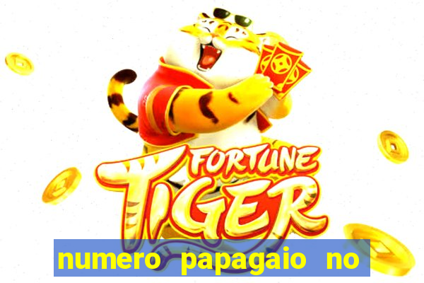 numero papagaio no jogo do bicho