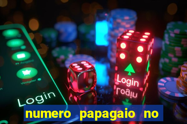 numero papagaio no jogo do bicho