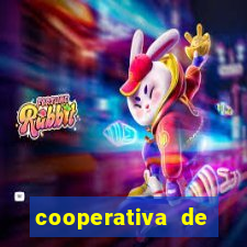 cooperativa de energia solar minas gerais