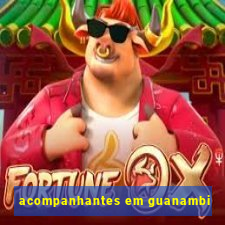 acompanhantes em guanambi