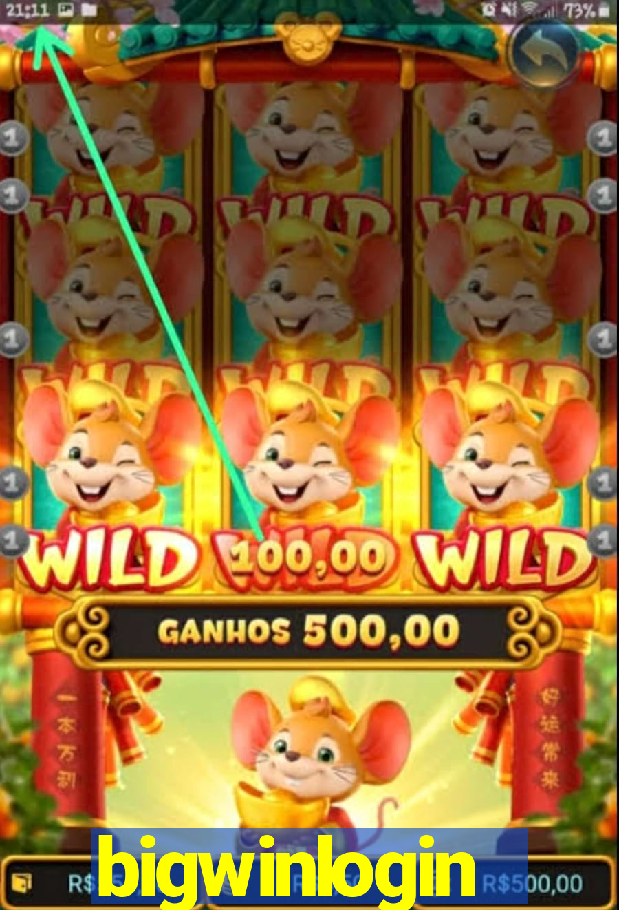 bigwinlogin
