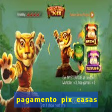 pagamento pix casas bahia demora