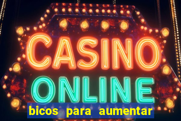 bicos para aumentar a renda