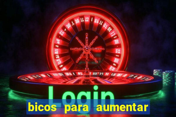 bicos para aumentar a renda
