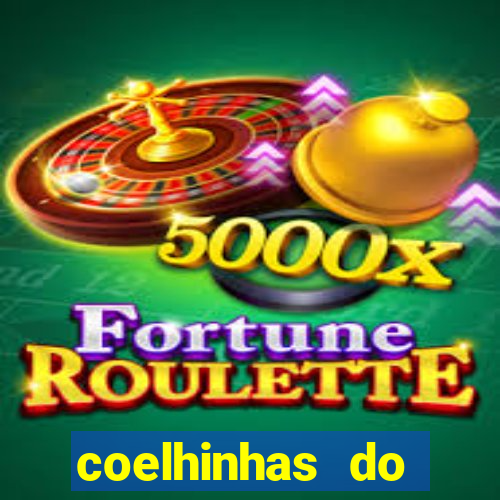 coelhinhas do brasil jp
