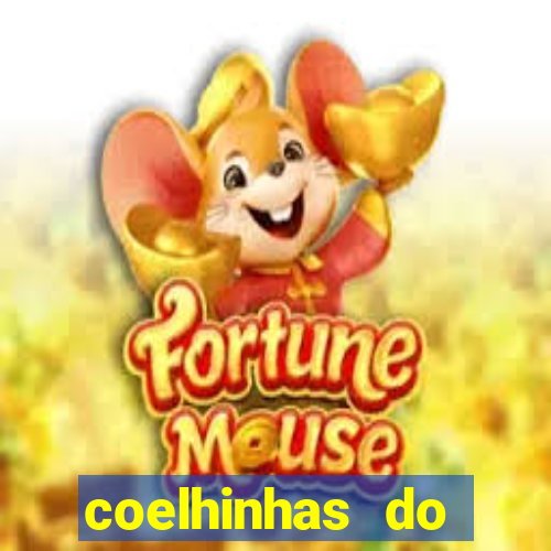 coelhinhas do brasil jp