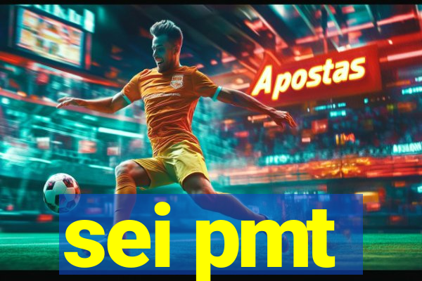 sei pmt